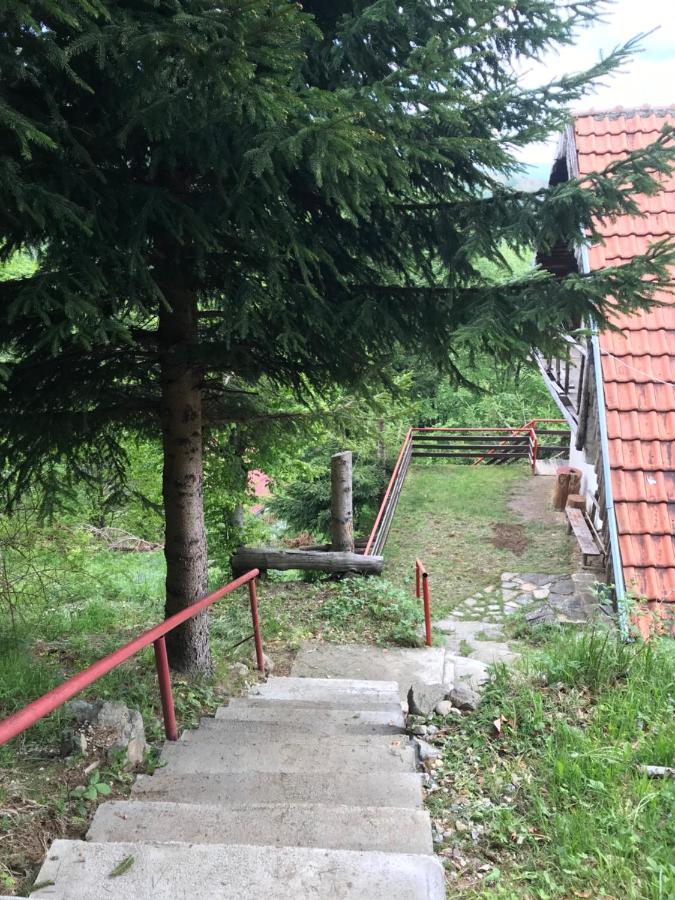 Holiday House Nesovic Kopaonik Exterior foto